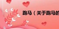 跑馬(關于跑馬的簡介)