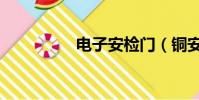 電子安檢門(銅安檢門)