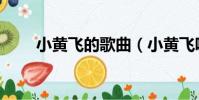 小黃飛的歌曲(小黃飛唱的什么歌)