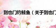 到也門釣鮭魚(關于到也門釣鮭魚的簡介)