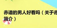 赤道的男人好看嗎(關于赤道的男人好看嗎的簡介)