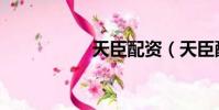 天臣配資(天臣配資)