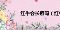 紅牛會長痘嗎(紅牛會長)