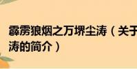 霹靂狼煙之萬堺塵濤(關于霹靂狼煙之萬堺塵濤的簡介)