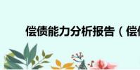償債能力分析報告(償債能力分析)