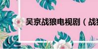 吳京戰狼電視劇(戰狼電視劇)