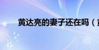 黃達亮的妻子還在嗎(黃達亮去世)
