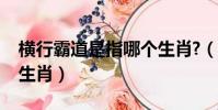 橫行霸道是指哪個生肖?(橫行霸道是指哪個生肖)