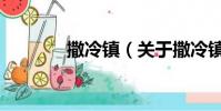 撒冷鎮(關于撒冷鎮的簡介)