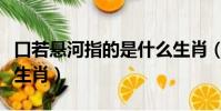 口若懸河指的是什么生肖(口若懸河打一最佳生肖)