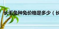 長毛兔種兔價格是多少(長毛兔種兔價格)