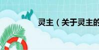 靈主(關于靈主的簡介)