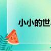 小小的世界（關于小小的世界簡介）