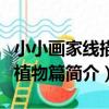 小小畫家線描動植物篇（關于小小畫家線描動植物篇簡介）