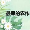 最早的農作物是小麥嗎（最早的農作物）
