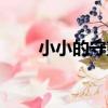 小小的守望（關于小小的守望簡介）