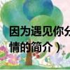 因為遇見你分集劇情（關于因為遇見你分集劇情的簡介）