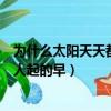 為什么太陽天天都比人起的早猜數字（為什么太陽天天都比人起的早）