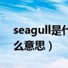 seagull是什么意思翻譯中文（seagull是什么意思）