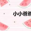 小小爸爸2（關于小小爸爸2簡介）