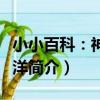 小小百科：神秘海洋（關于小小百科：神秘海洋簡介）