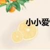 小小愛情（關于小小愛情簡介）