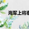 海軍上將泰勒的大劍（海軍上將泰勒）