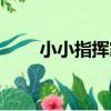 小小指揮家（關于小小指揮家簡介）