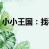 小小王國：找茬（關于小小王國：找茬簡介）