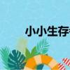 小小生存者（關于小小生存者簡介）