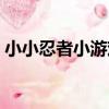 小小忍者小游戲（關于小小忍者小游戲簡介）