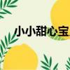 小小甜心寶貝（關于小小甜心寶貝簡介）