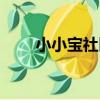 小小寶社區(關于小小寶社區簡介)