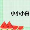 小小小白蛇（關于小小小白蛇簡介）
