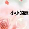 小小的感動（關于小小的感動簡介）