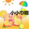 小小巾幗夢（關于小小巾幗夢簡介）