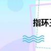 指環王 菜單（指環王配置）