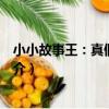 小小故事王：真假美猴王（關于小小故事王：真假美猴王簡介）