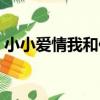 小小愛情我和你（關于小小愛情我和你簡介）