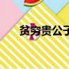 貧窮貴公子（關于貧窮貴公子的簡介）