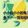 小小的小小的兔子——我和你們一樣棒（關于小小的小小的兔子——我和你們一樣棒簡介）