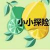 小小探險家（關于小小探險家簡介）