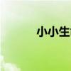 小小生命（關于小小生命簡介）