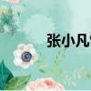 張小凡飾演者（張小凡扮演者）