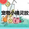 寵物小精靈放送局在線（寵物小精靈放送局）
