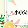 小小父子（關于小小父子簡介）