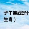 子午連線是什么生肖（子午線上辦得明指什么生肖）