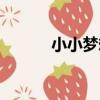 小小夢想（關于小小夢想簡介）