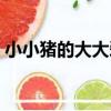 小小豬的大大愛（關于小小豬的大大愛簡介）