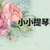 小小提琴家（關于小小提琴家簡介）